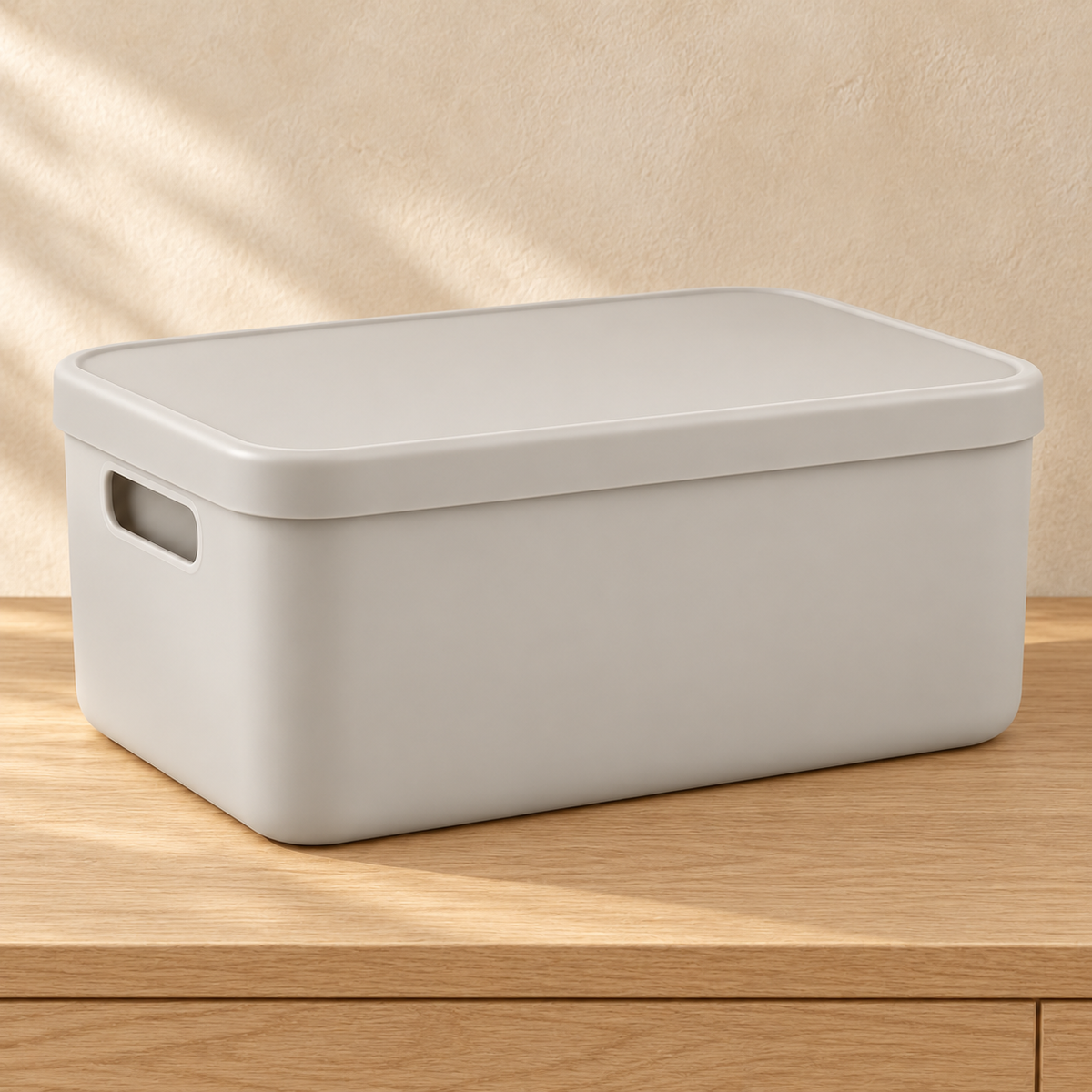 Healthyaus Light Gray Lidded Storage Box with Side Handle Cutout